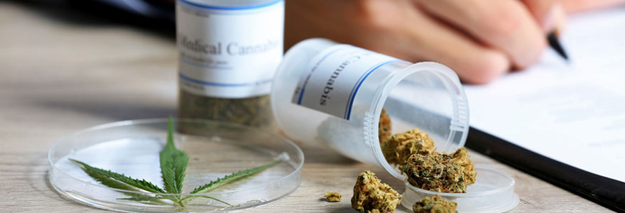 Acheter du cannabis médical en Suisse