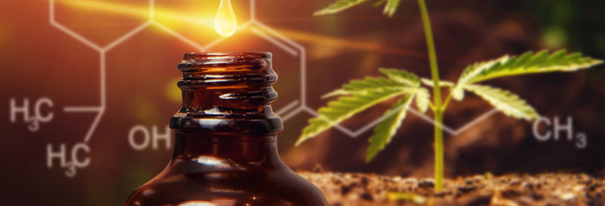 Huile essentielle à base de cannabidiol